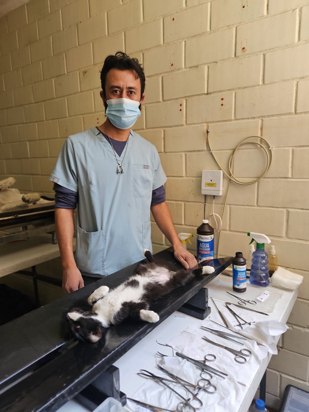 Clínica Veterinaria Rosete — foto 4