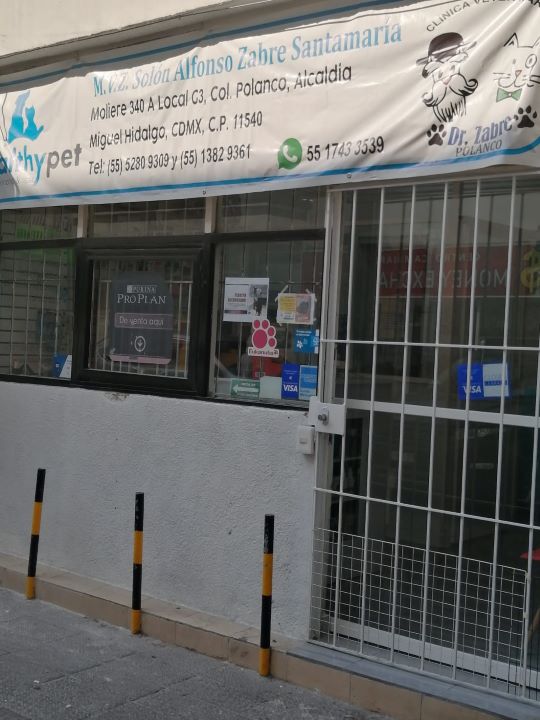 Healthy Pet Veterinaria — foto 3