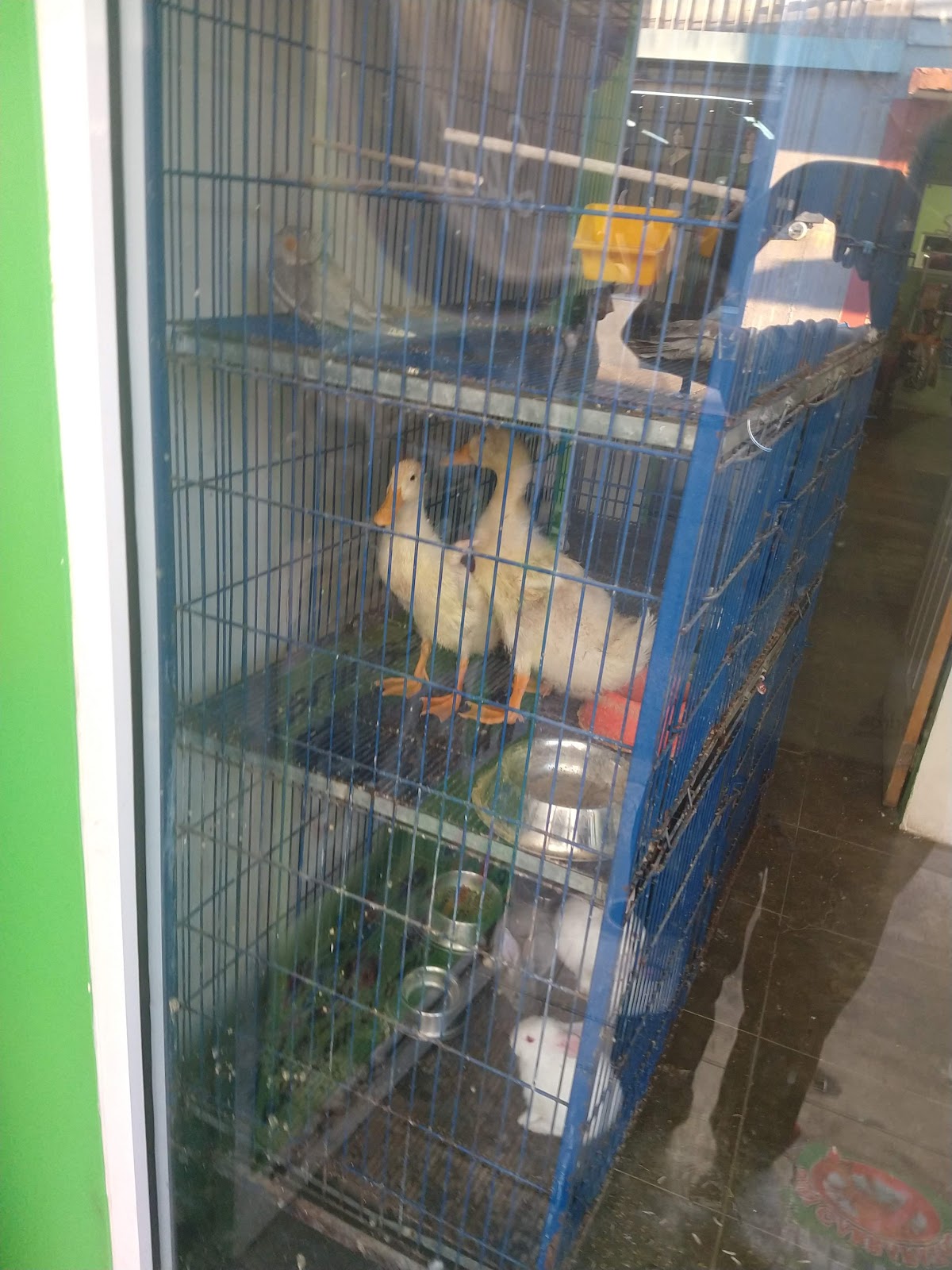SPOT MASCOTAS — foto 3
