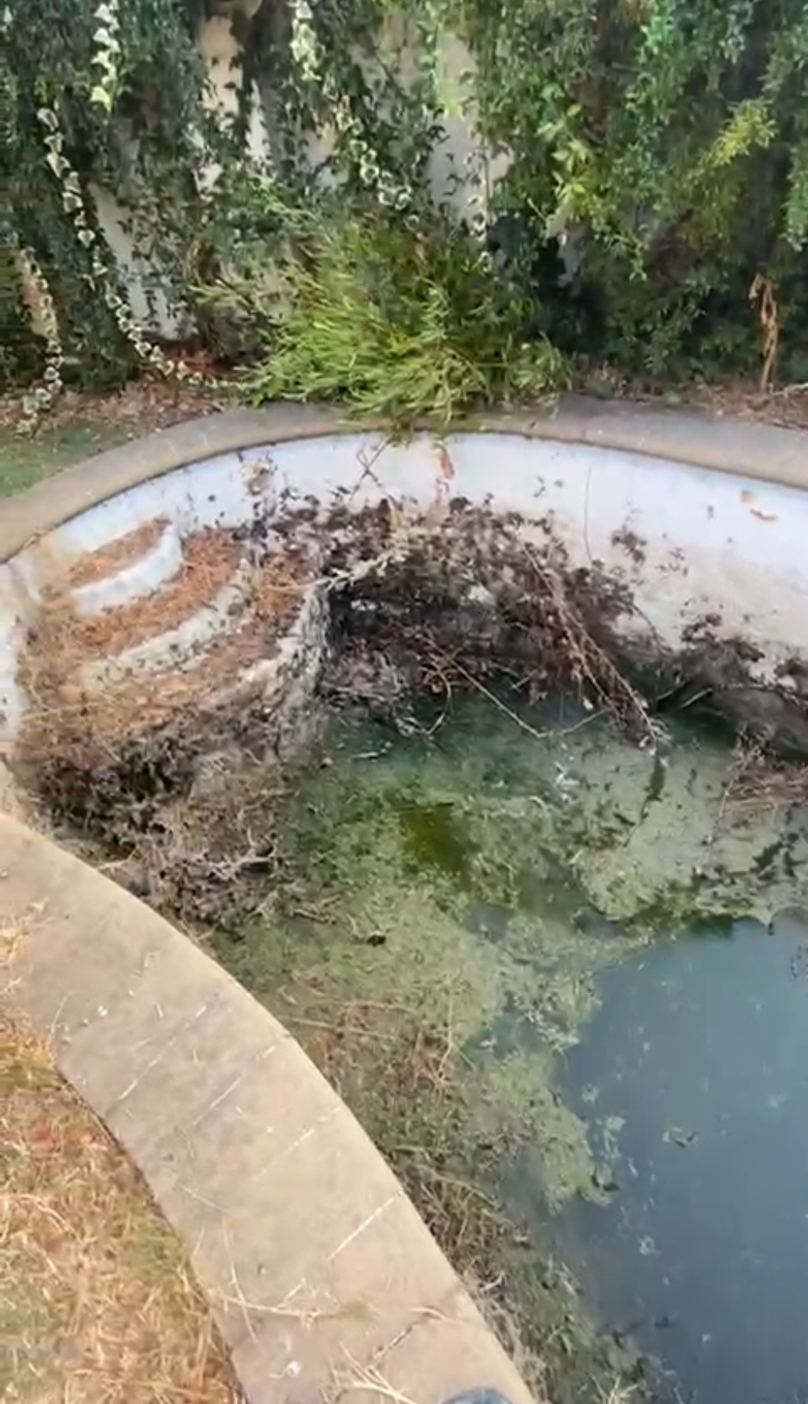 Mantención de Piscinas Chile | Reparación de Piscinas | Revestimiento de piscinas | MP Chile — foto 2