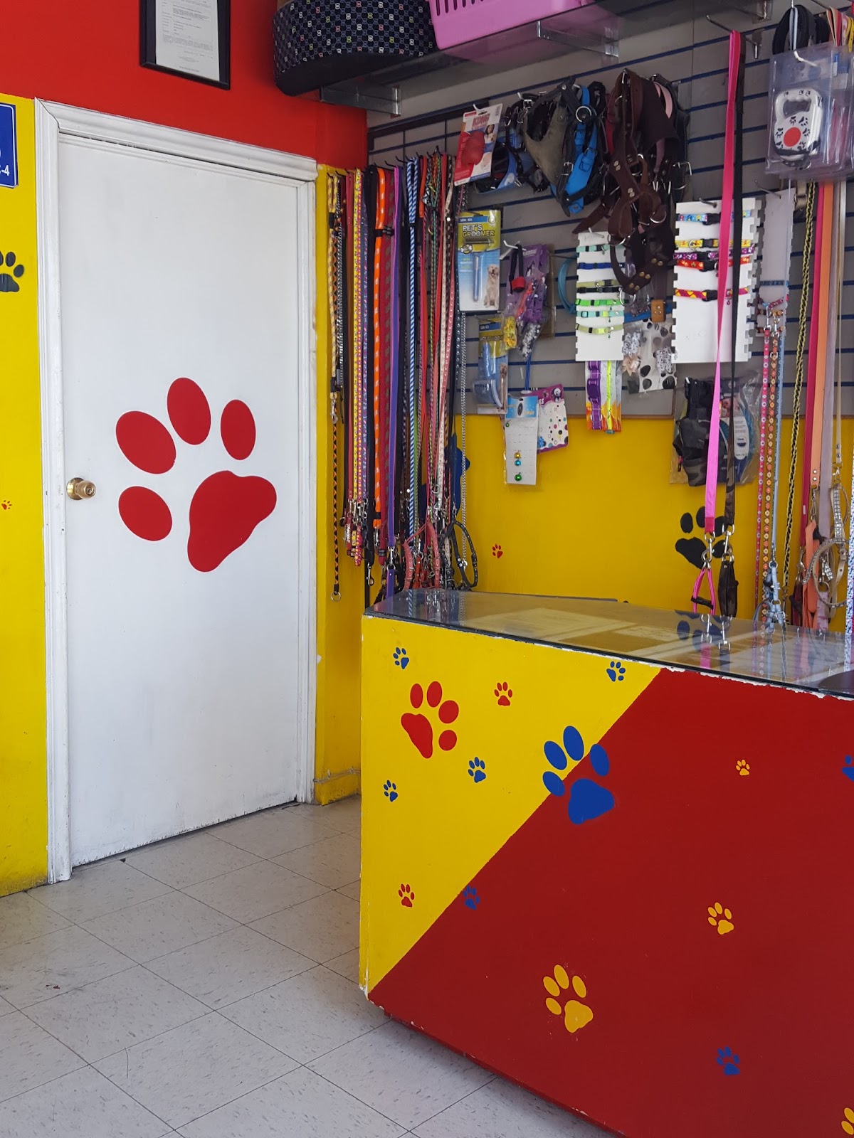 MASCOTITAS CLINICA VETERINARIA