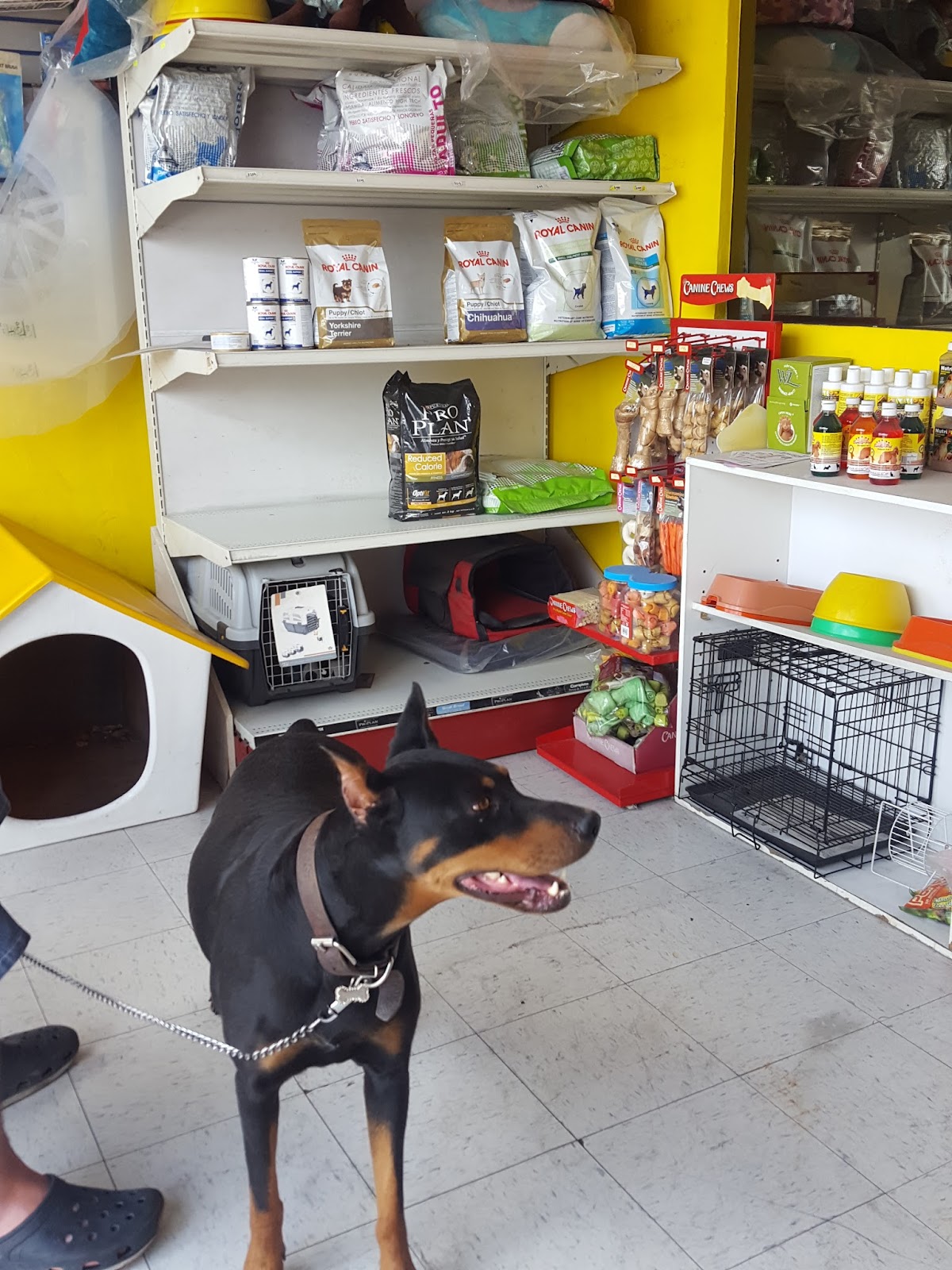 MASCOTITAS CLINICA VETERINARIA — foto 3