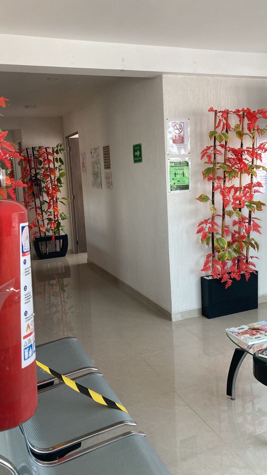Clinica Dental Torami — foto 3