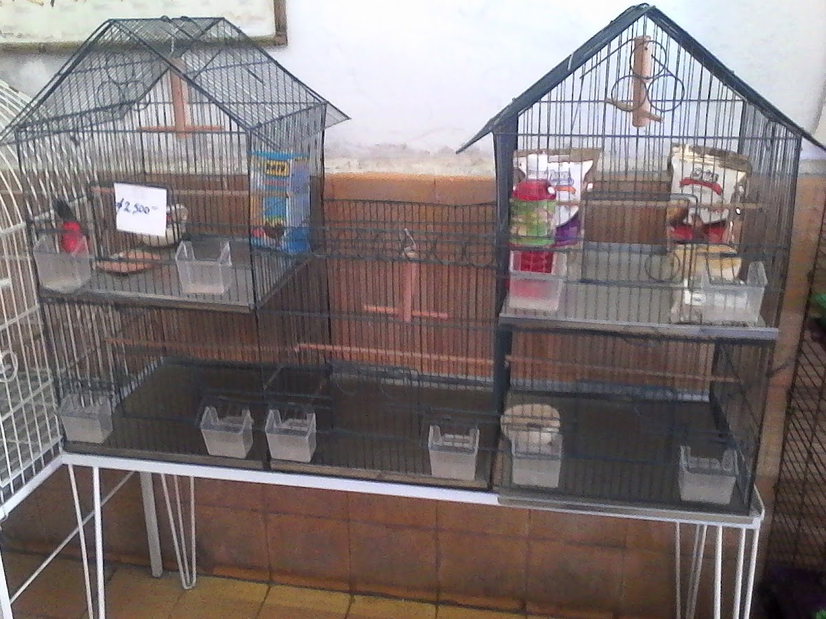 Clínica Veterinaria Fauna — foto 2