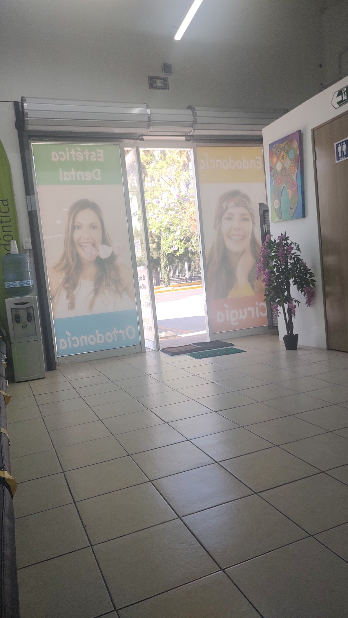 So DENT Aguascalientes — foto 2