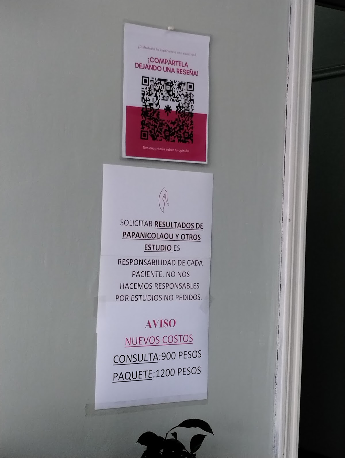Consultorio Ginecológico Dra. Márquez Hirlemann/Dr. Gonzalez Maldonado — foto 3
