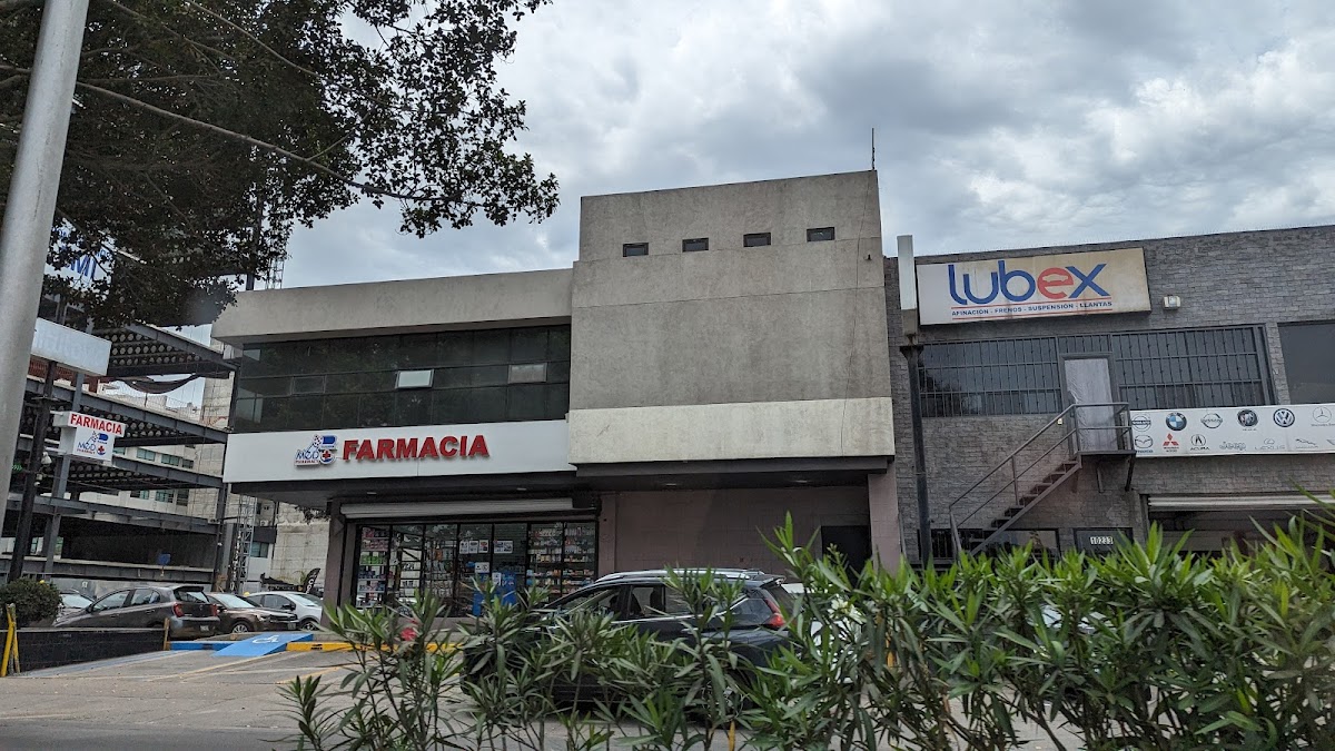 Lubex Auto Service — foto 3