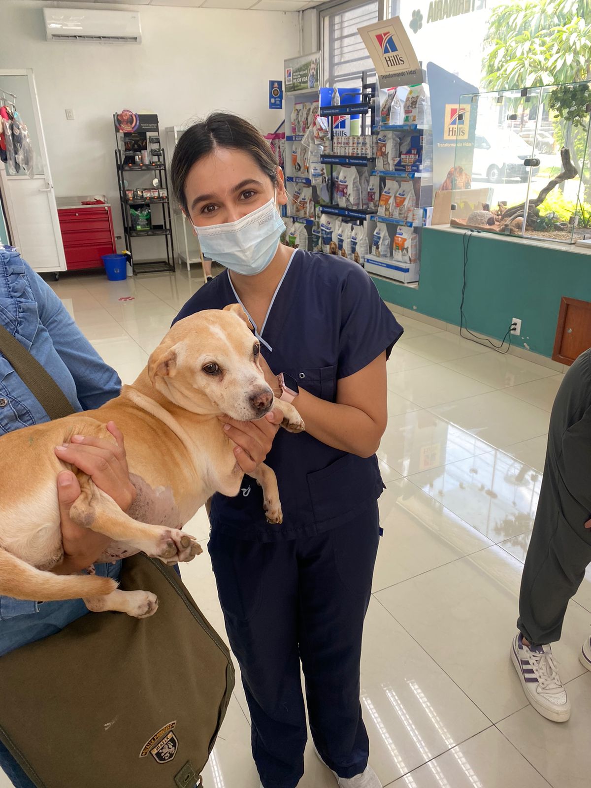 SF Hospital Veterinario — foto 2