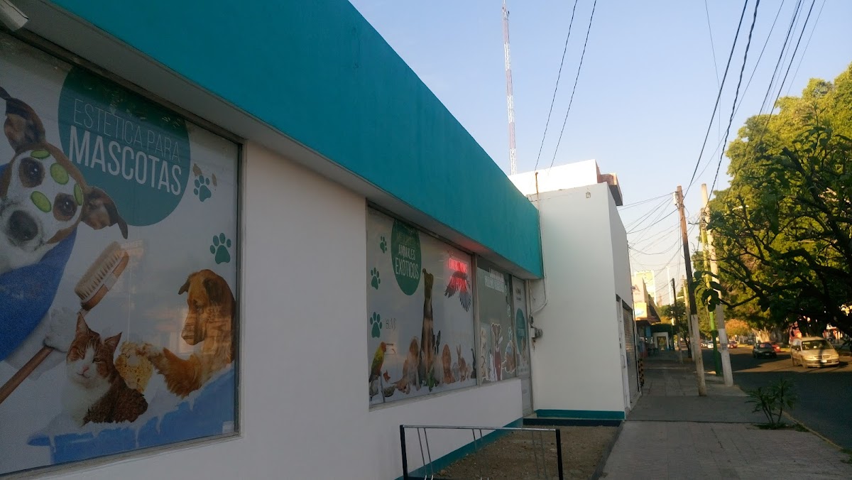 SF Hospital Veterinario — foto 4