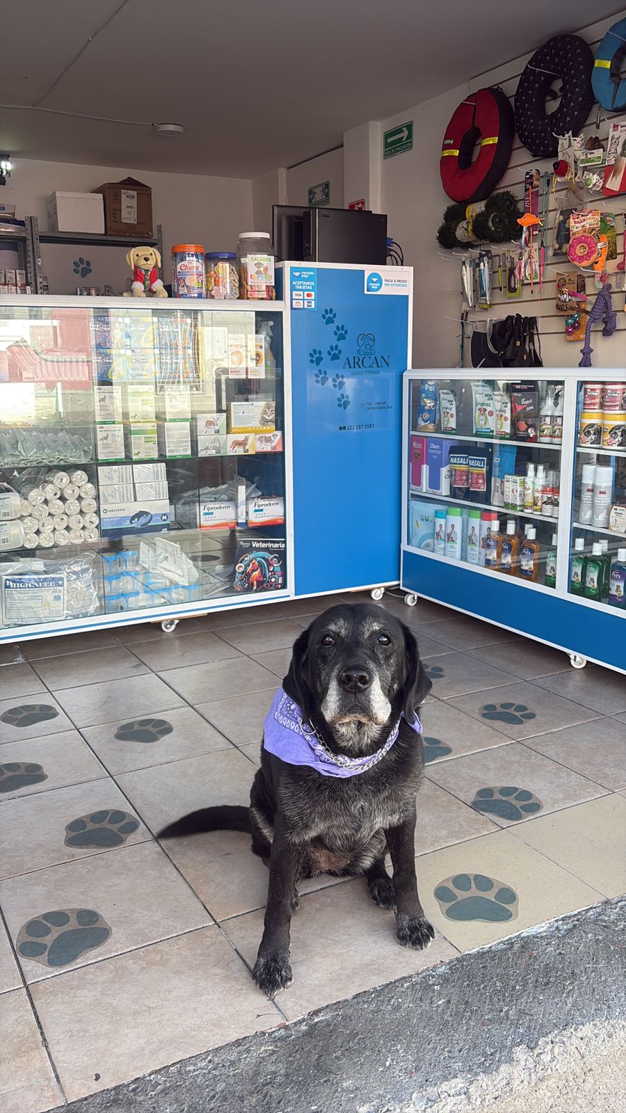 Arcan farmacia veterinaria