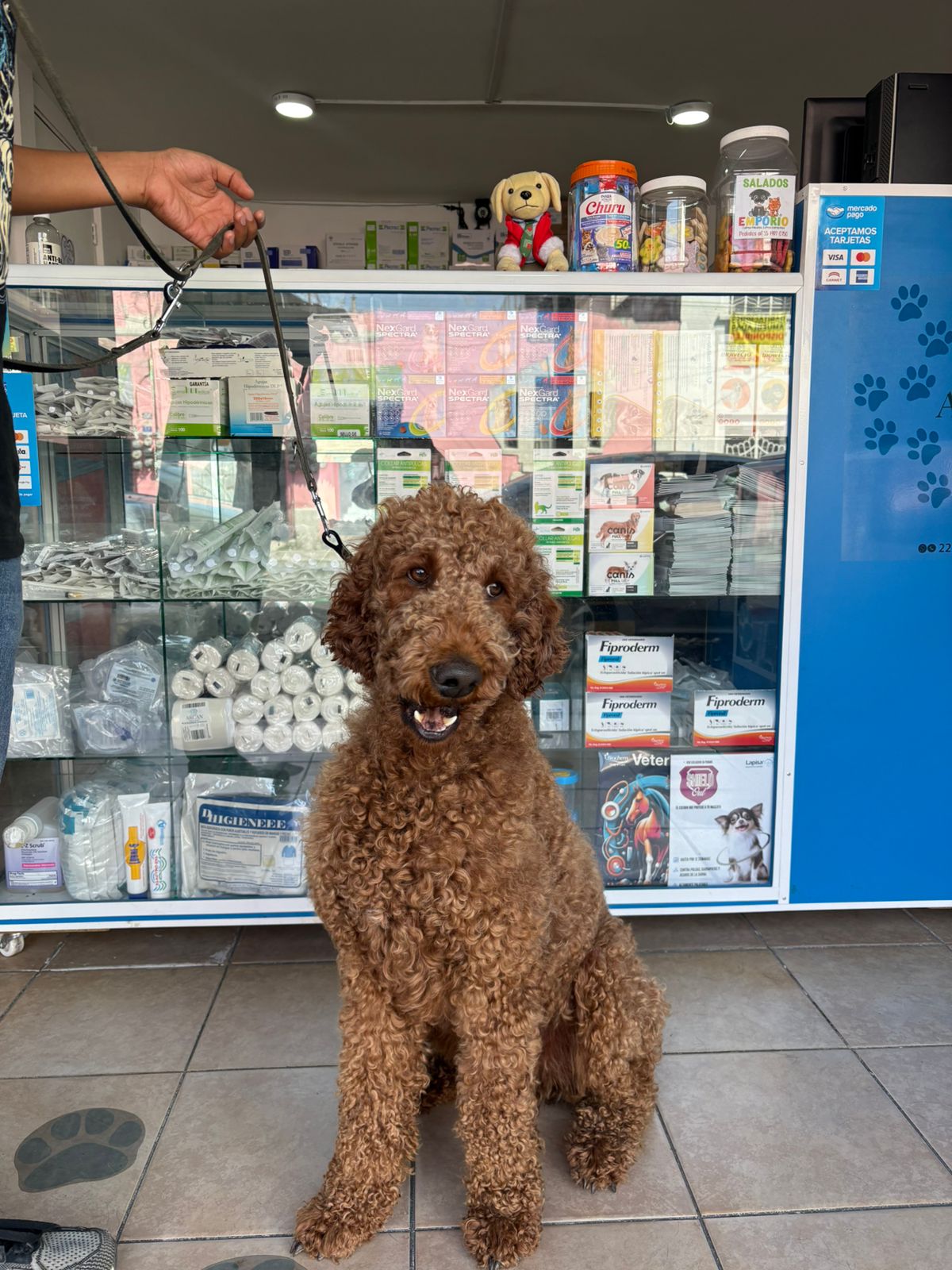 Arcan farmacia veterinaria — foto 2