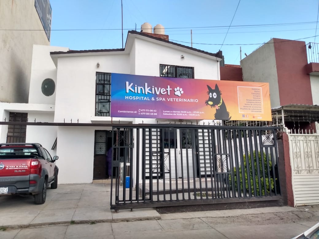 Hospital Veterinario Kinkivet