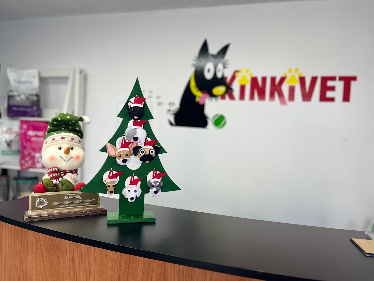Hospital Veterinario Kinkivet — foto 2