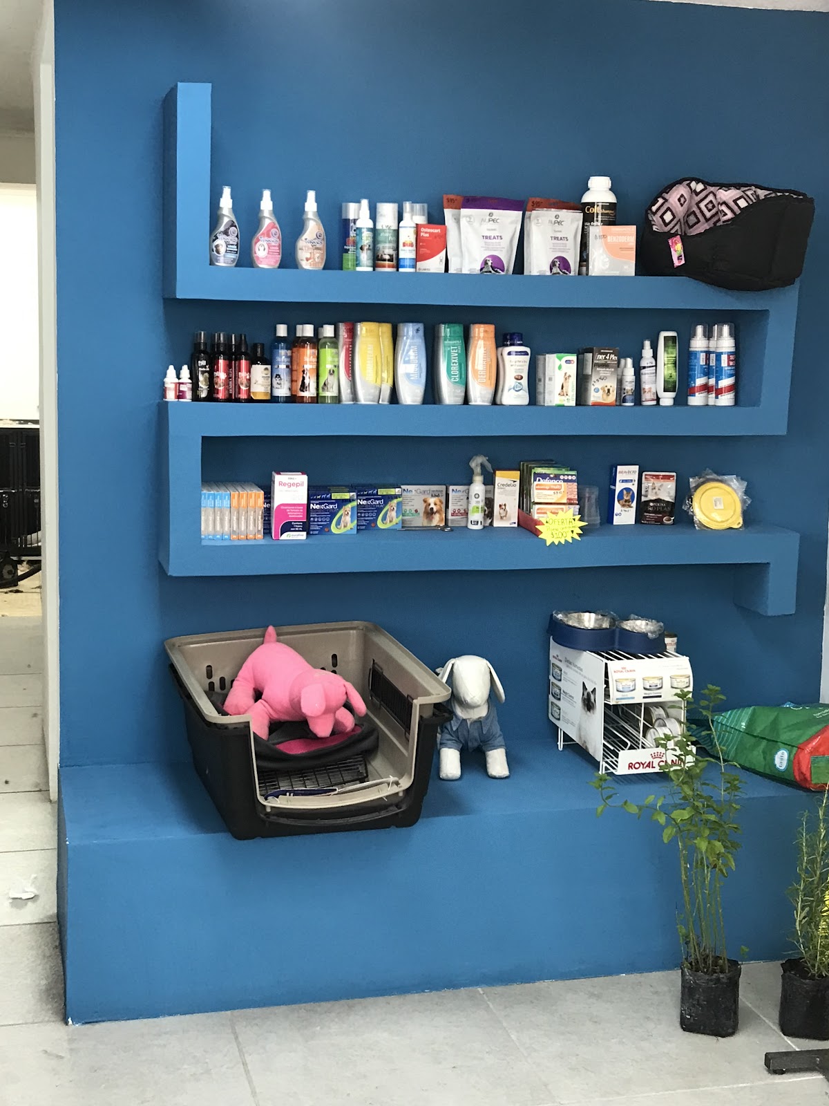 Hospital Veterinario Kinkivet — foto 3
