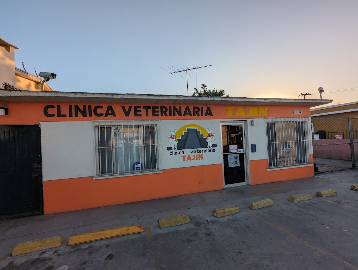 CLÍNICA VETERINARIA TAJÍN