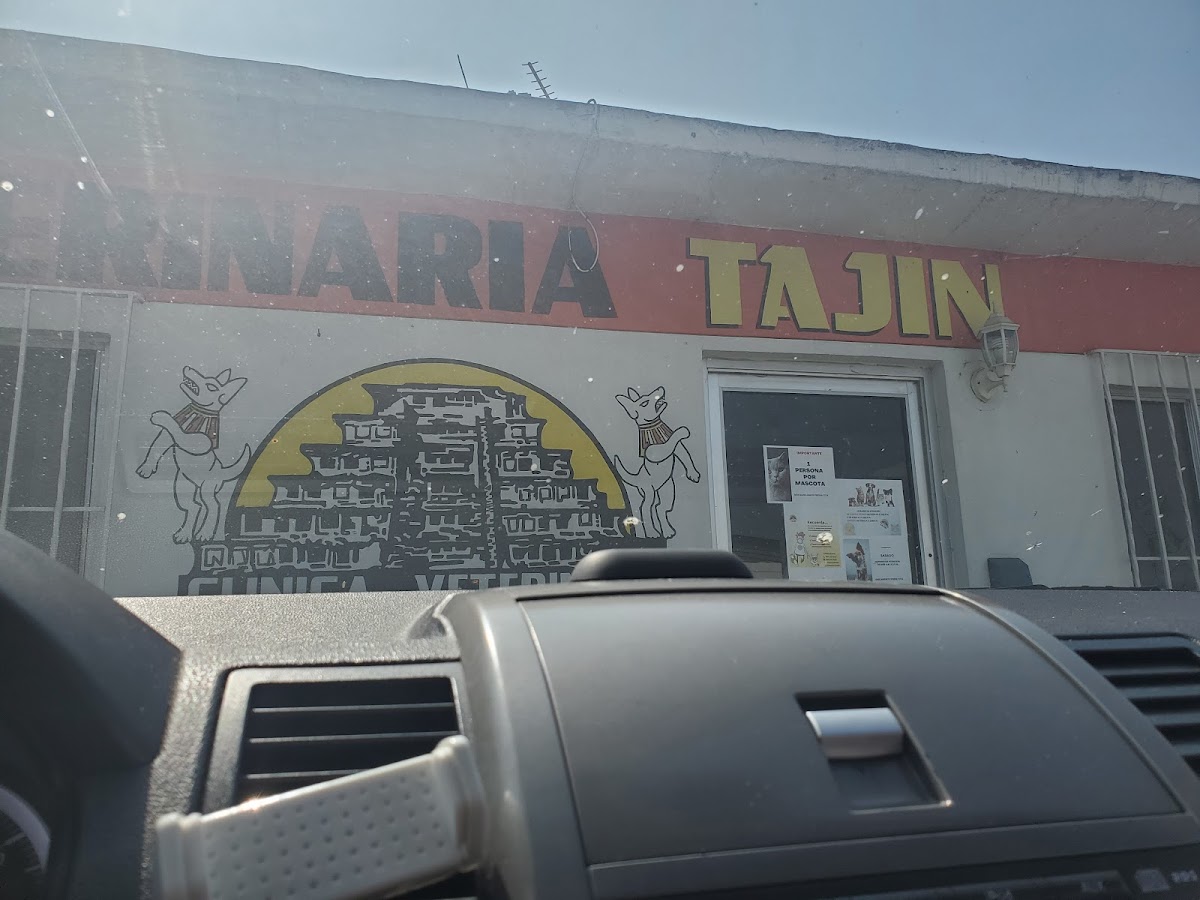 CLÍNICA VETERINARIA TAJÍN — foto 4