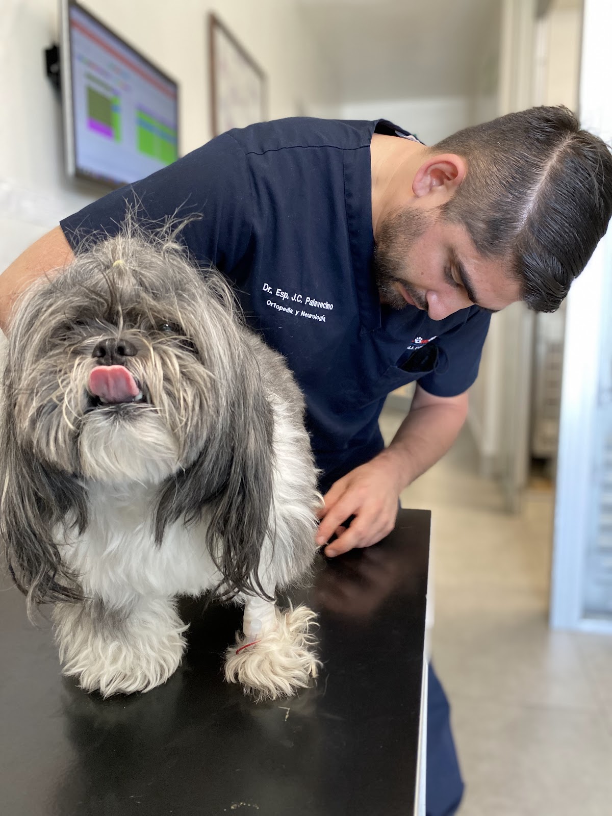 Hospital Veterinario Lomont Vasconcelos — foto 3