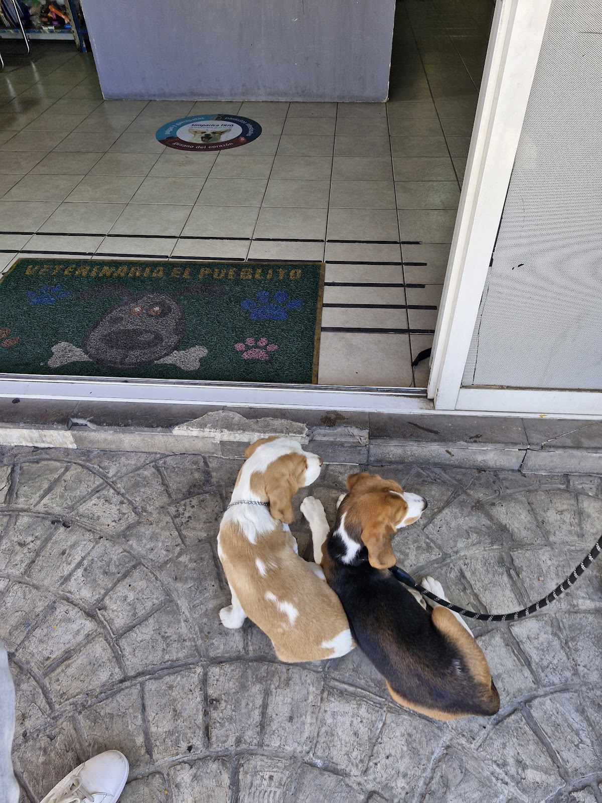 Veterinari el pueblito — foto 2