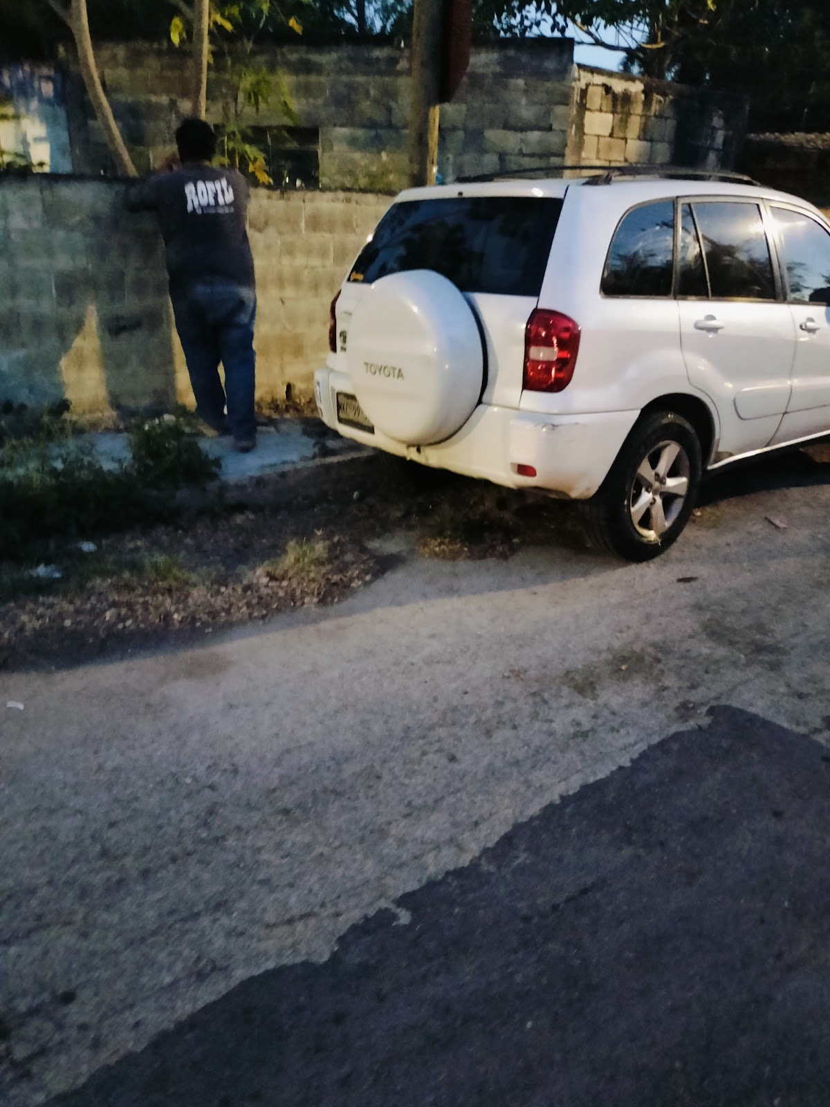 Servicio Eléctrico Automotriz Maya — foto 2