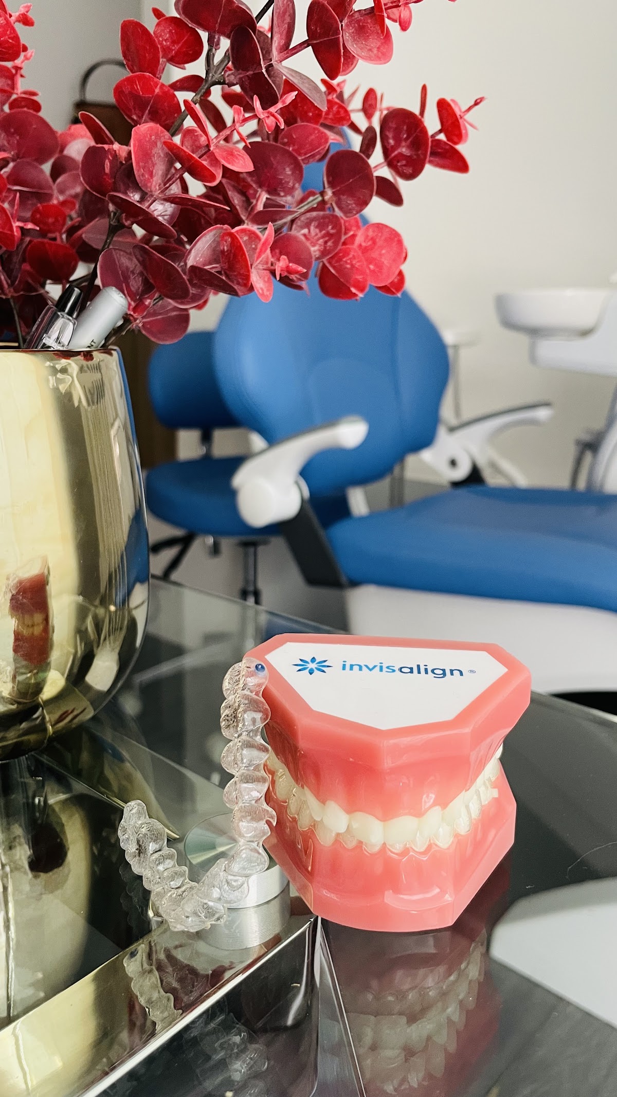 Invisalign Polanco | Diseño de Sonrisa Polanco | Dra. Gabriela Franco — foto 3