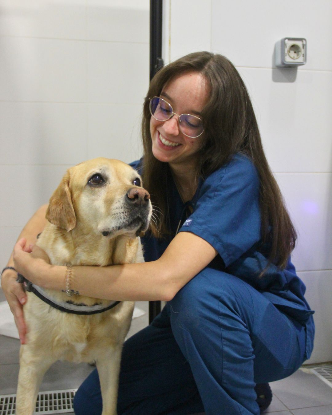 Hospital Veterinario Madrid Norte