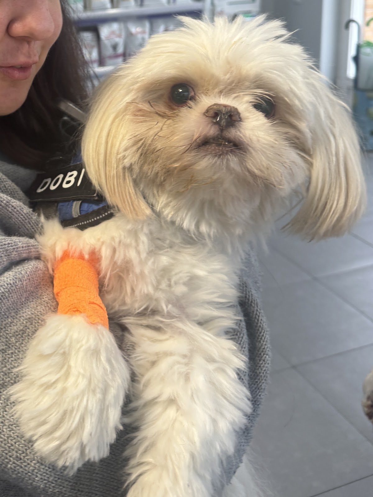 Hospital Veterinario Madrid Norte — foto 4
