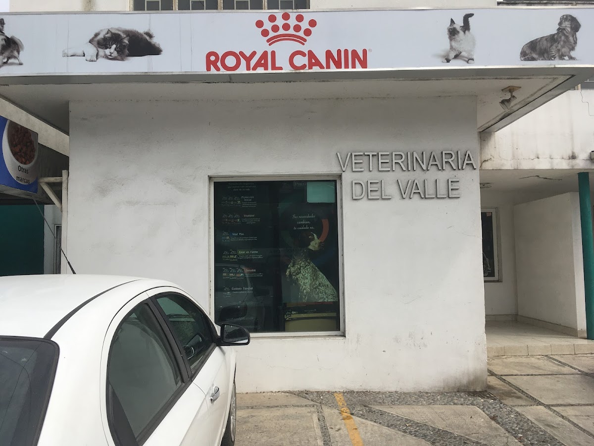 Clínica Veterinaria del Valle — foto 2