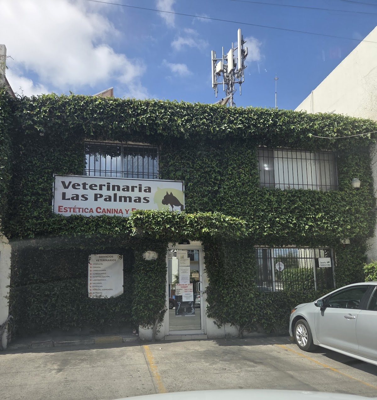 Hospital Veterinario - Las Palmas e Hipódromo — foto 2