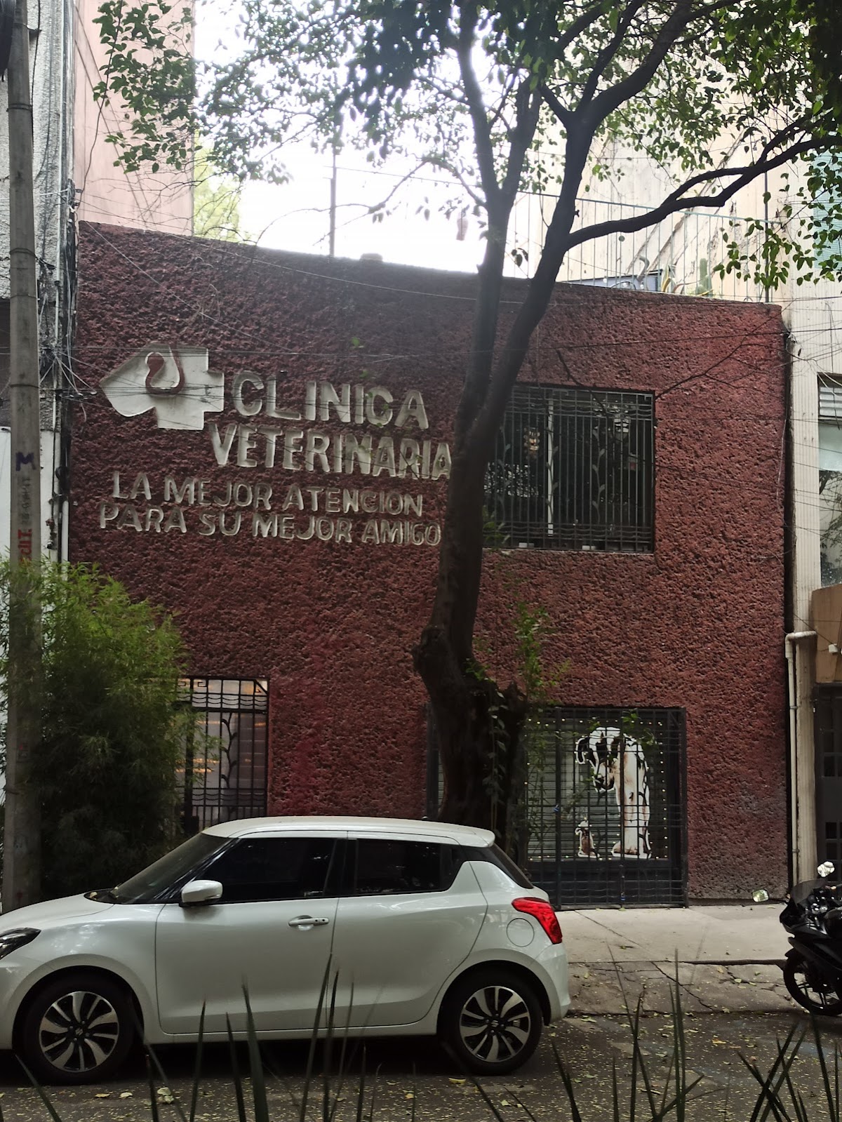 Clinica Veterinaria Amsterdam
