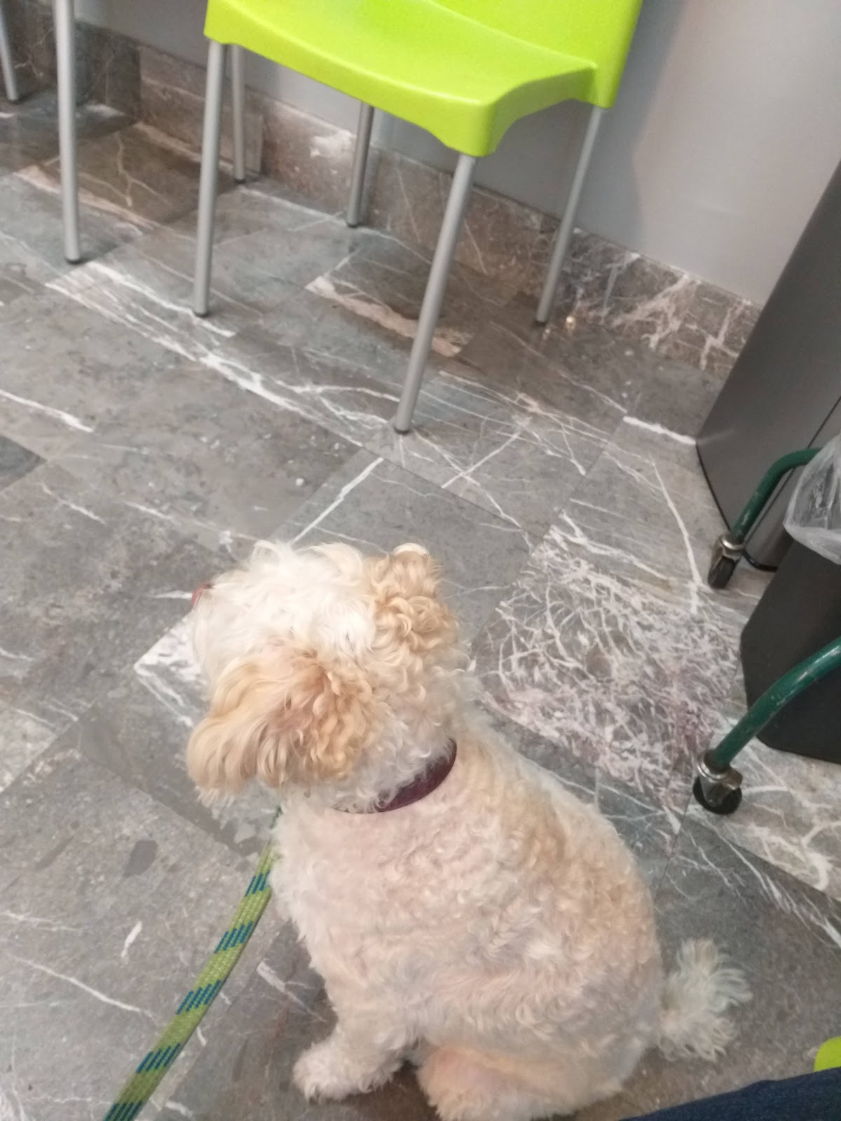 Clinica Veterinaria Amsterdam — foto 3