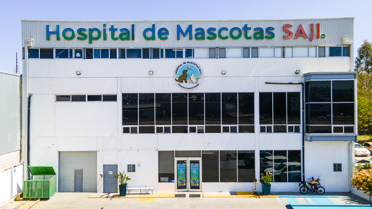 Hospital de Mascotas SAJI — foto 2