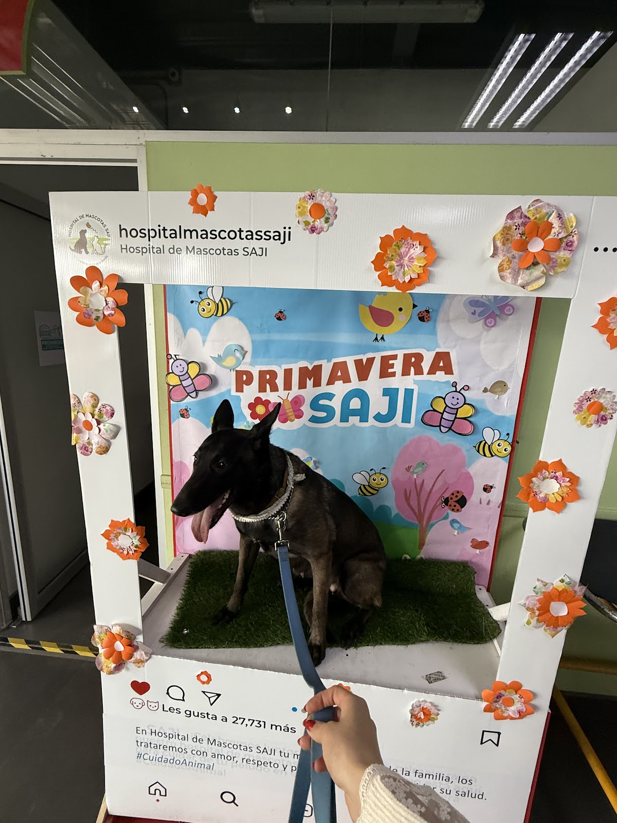 Hospital de Mascotas SAJI — foto 3