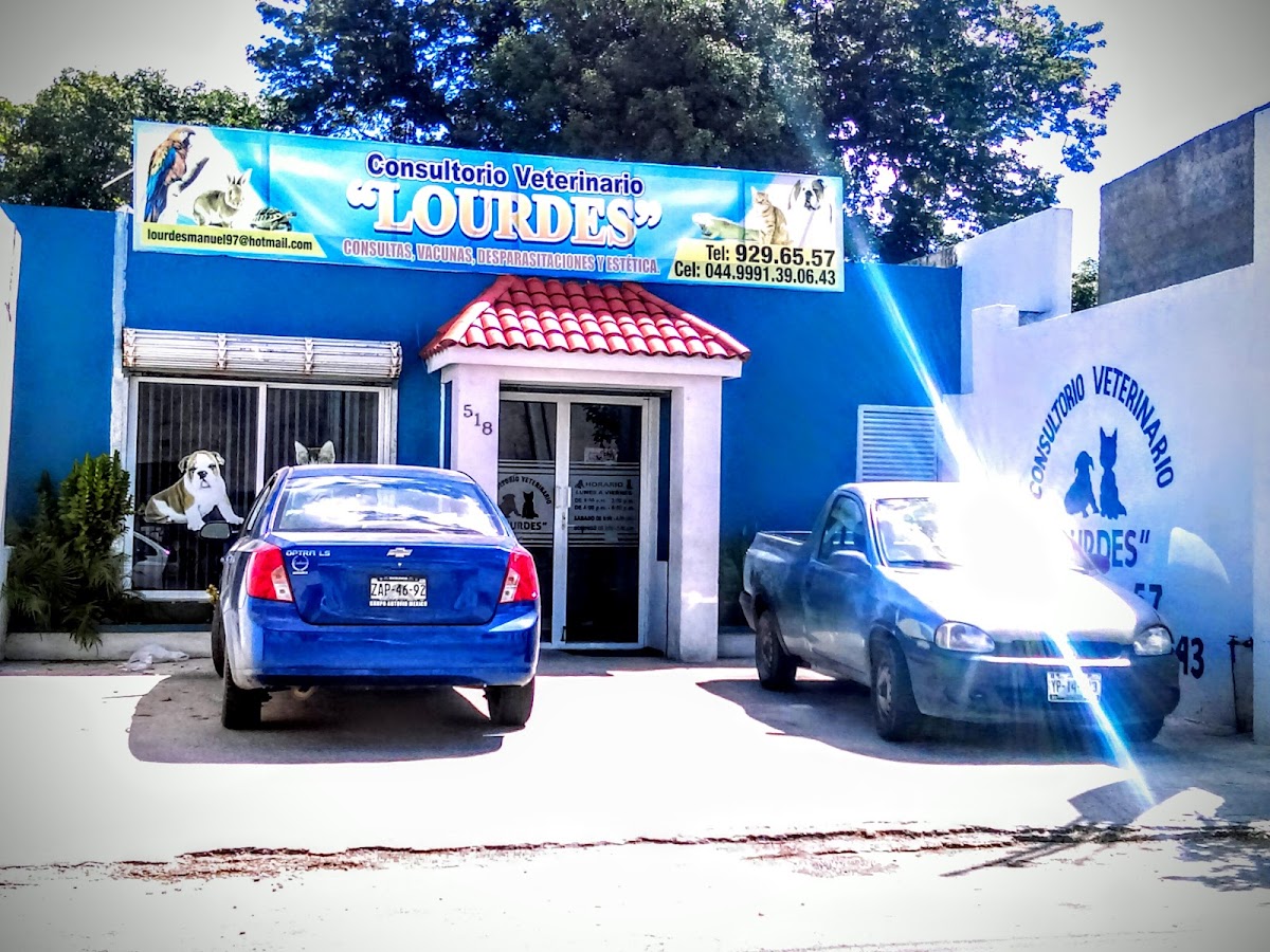 Consultorio Veterinario "LOURDES" — foto 3