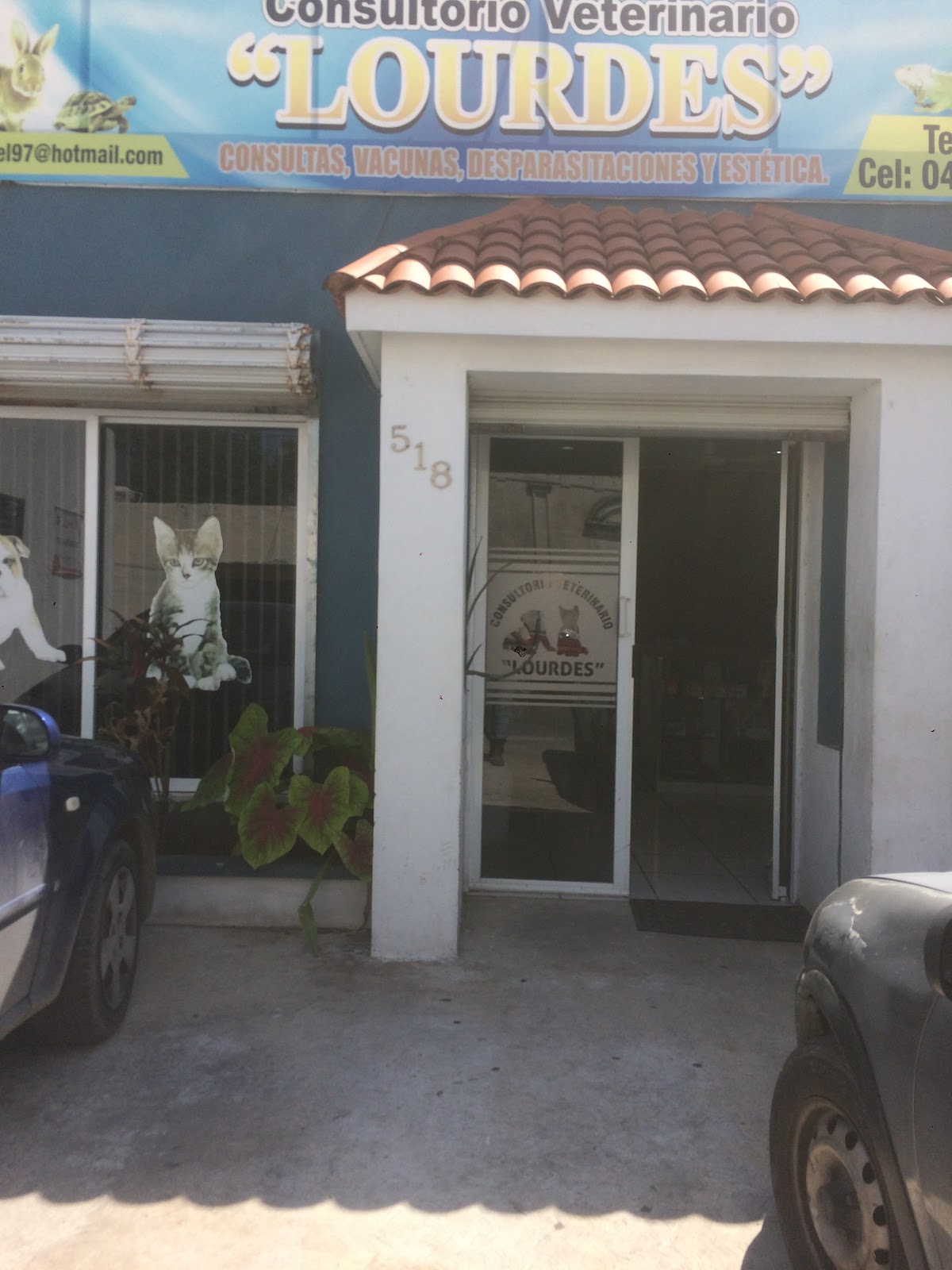 Consultorio Veterinario "LOURDES" — foto 4