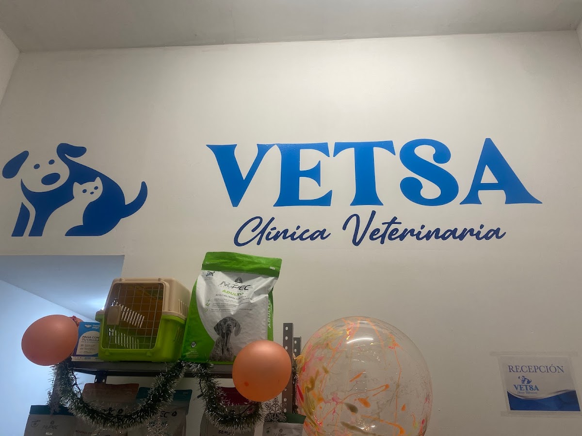 Clínica Veterinaria Vetsa — foto 3
