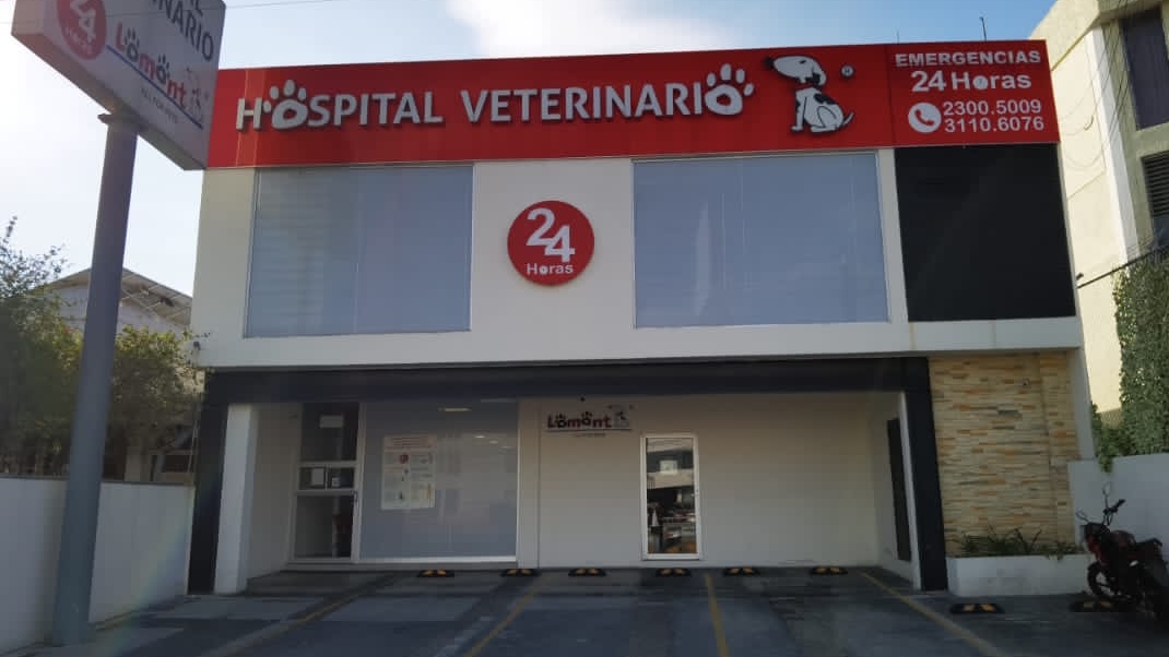 Hospital Veterinario Lomont Patria (Oftalmología, Traumatología, Ortopedía, Neurología, Cardiología, Oncología, Tomografia)
