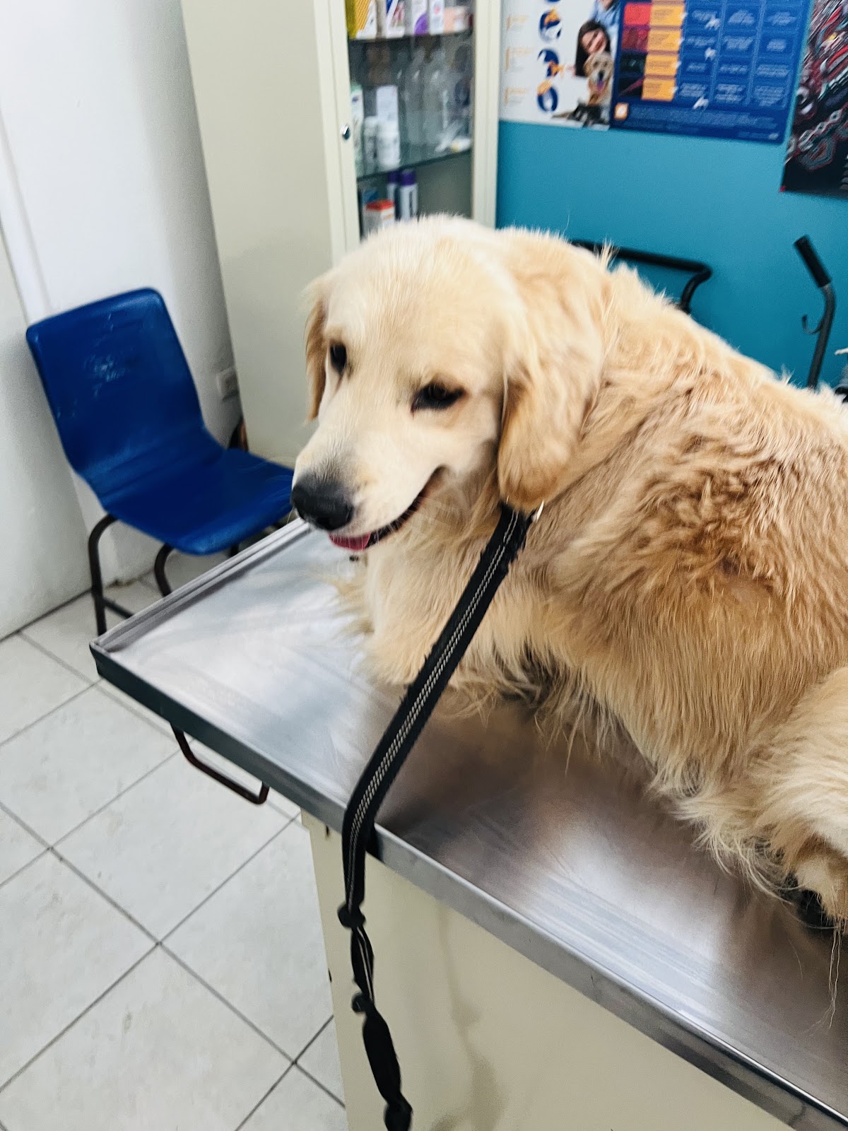 Clínica veterinaria Human Touch
