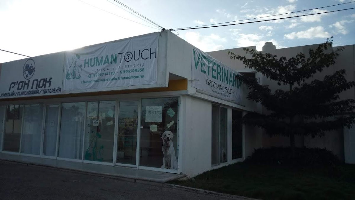 Clínica veterinaria Human Touch — foto 2