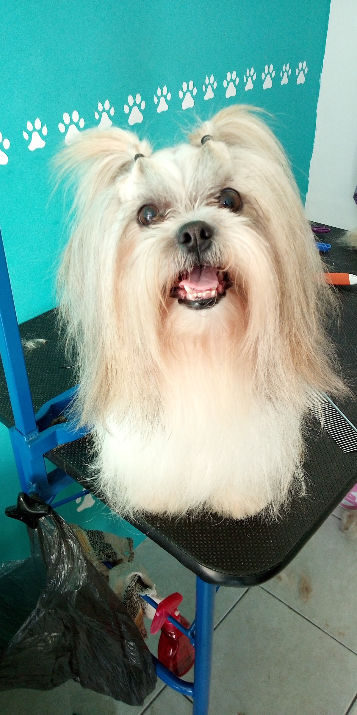 Clínica veterinaria Human Touch — foto 4