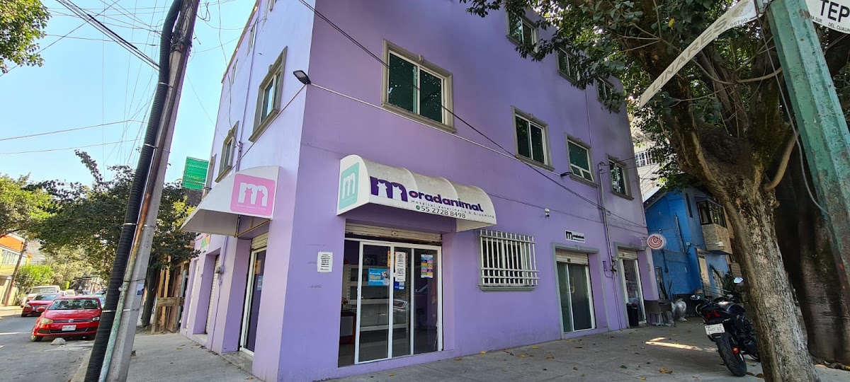 Moradanimal Clínica Veterinaria & Grooming — foto 3