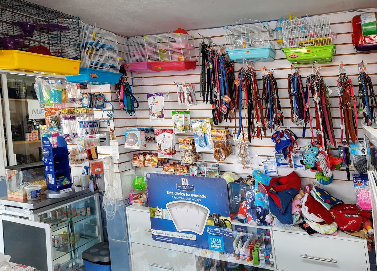 VETERINARIA PRESIDENTES — foto 2