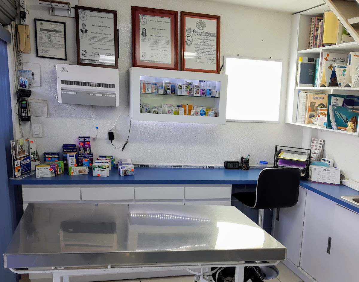 VETERINARIA PRESIDENTES — foto 3