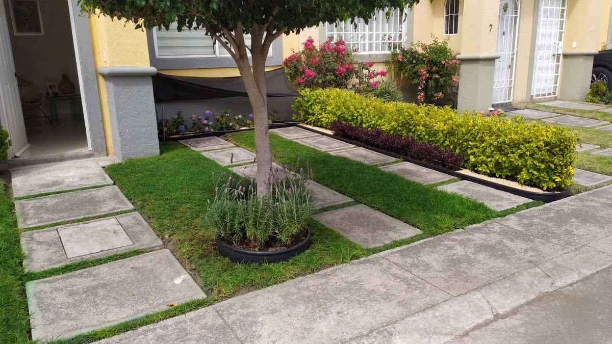 Jardify Jardinería y Paisajismo Condesa