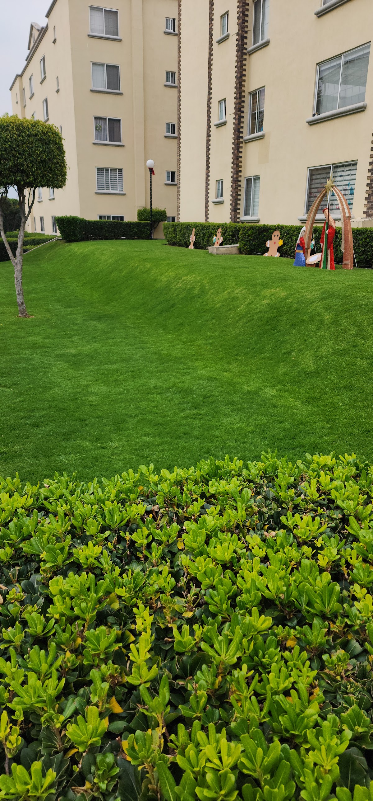 Jardify Jardinería y Paisajismo Condesa — foto 3
