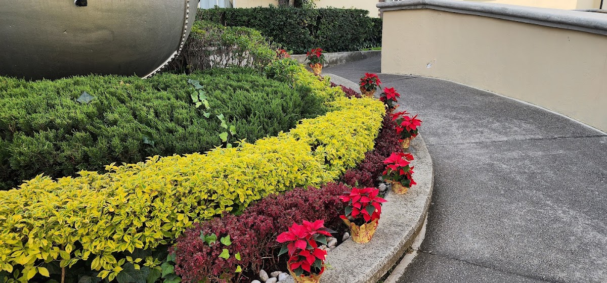 Jardify Jardinería y Paisajismo Condesa — foto 4