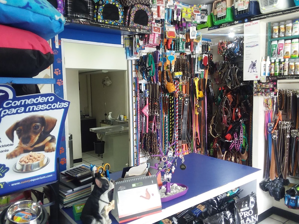 Centro Veterinario Pets — foto 2