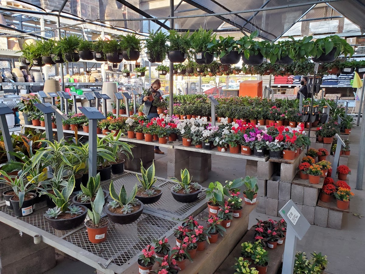 The Home Depot Aguascalientes — foto 3