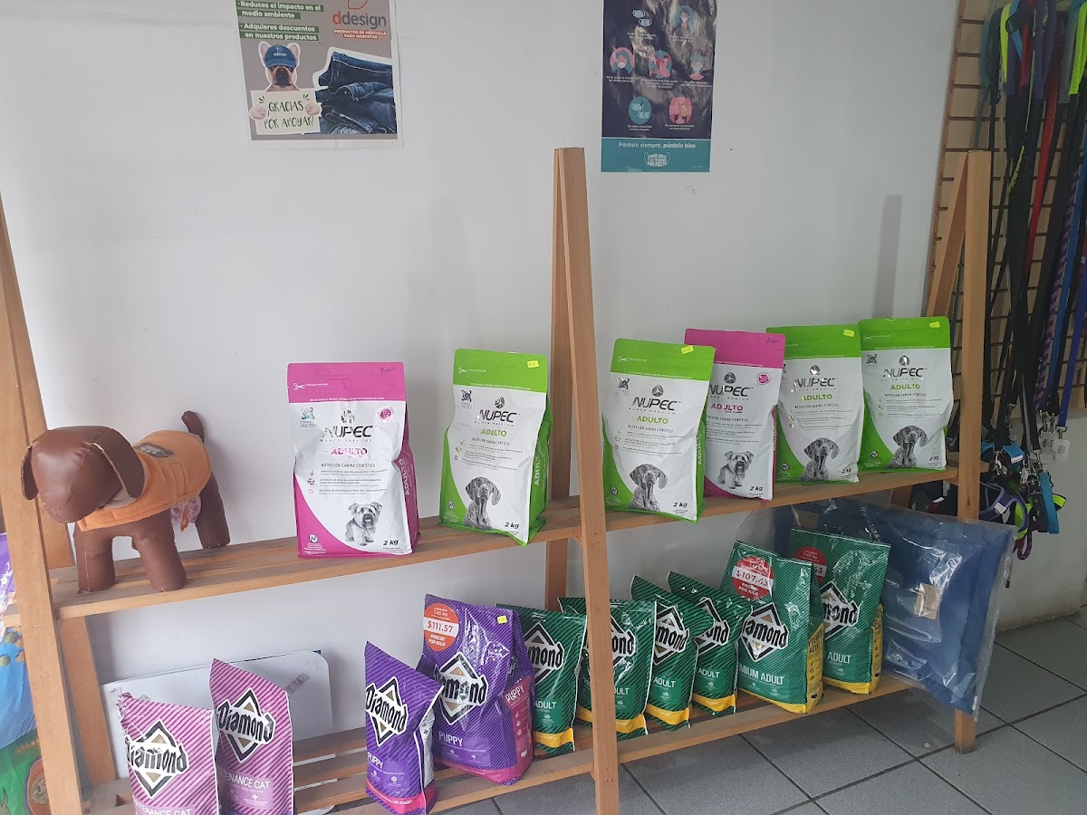 Clinica Veterinaria Kroqueta — foto 2
