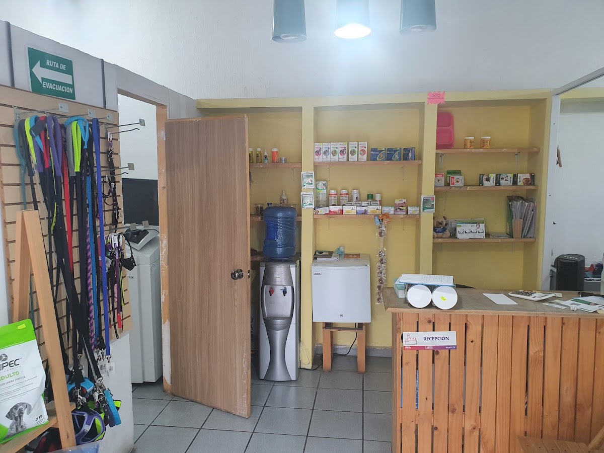 Clinica Veterinaria Kroqueta — foto 3