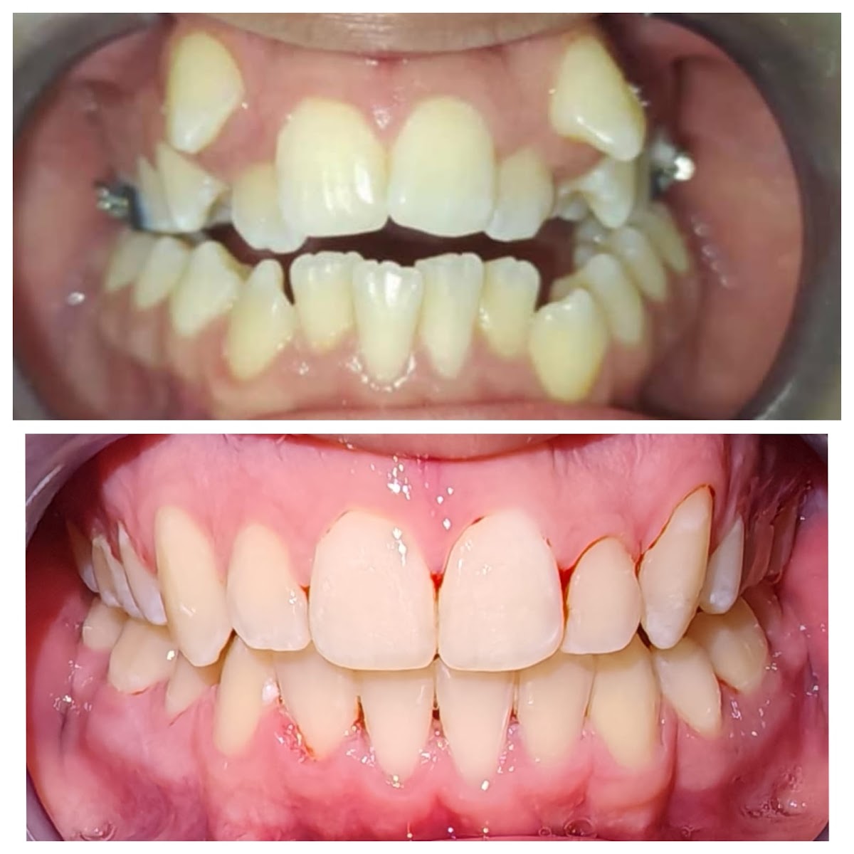 DG Dental — foto 2